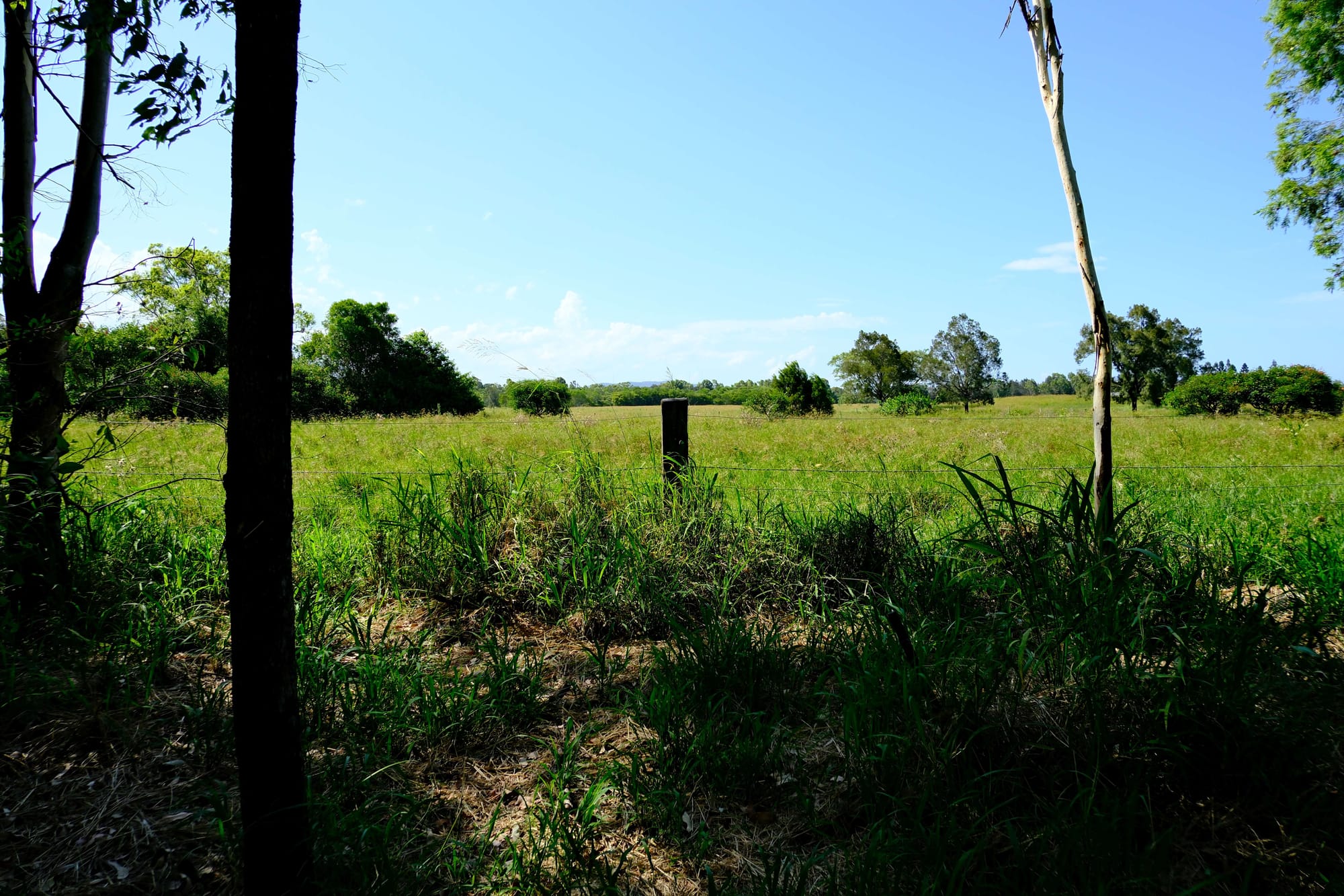 The Wanderer’s Nook